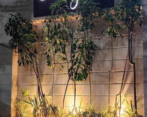 Restaurante Origem